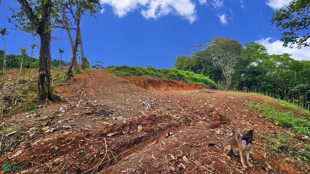 Lote con Vista Espectacular al Valle y al Chirripó , General, Perez Zeledon, San Jose