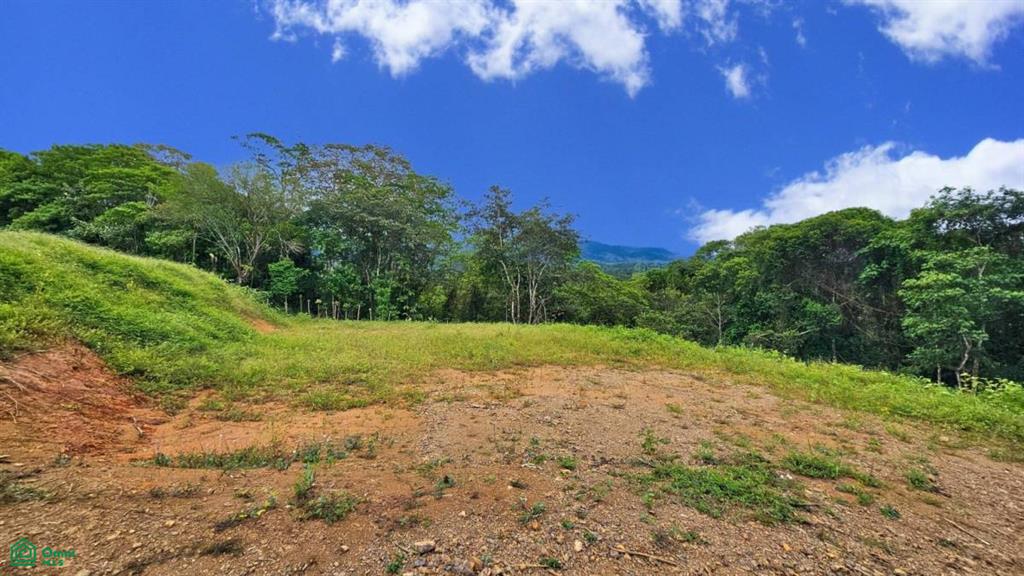 Lote con Vista Espectacular al Valle y al Chirripó , General, Perez Zeledon, San Jose