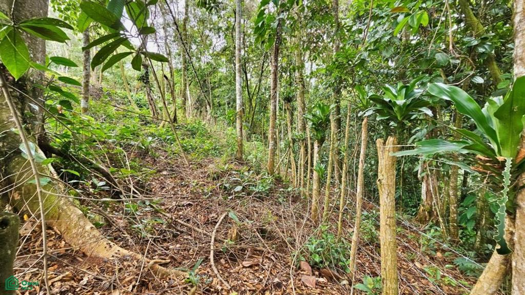 Lote con Vista Espectacular al Valle y al Chirripó , General, Perez Zeledon, San Jose