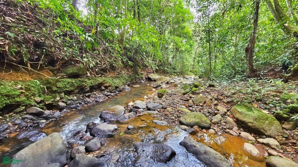 Lote con Vista Espectacular al Valle y al Chirripó , General, Perez Zeledon, San Jose