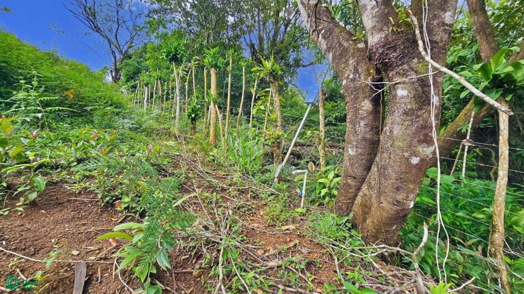 Lote con Vista Espectacular al Valle y al Chirripó , General, Perez Zeledon, San Jose