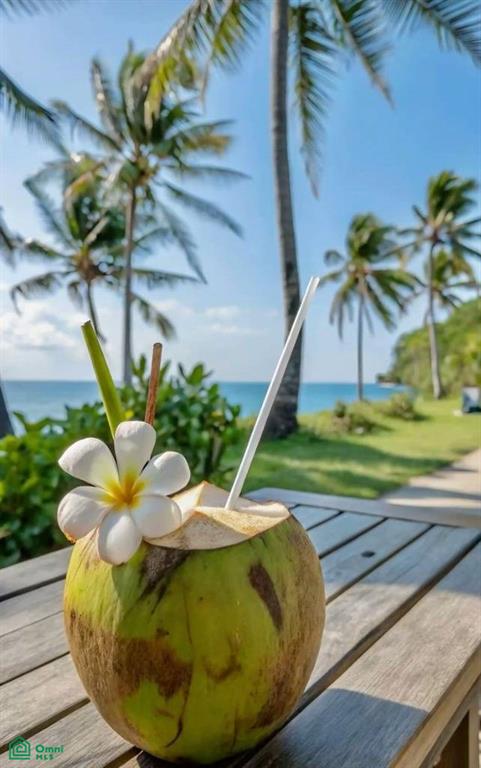 Boutique Hotel Investment in Playa Samara , Sámara, Guanacaste