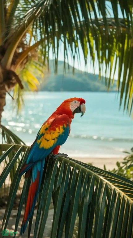 Boutique Hotel Investment in Playa Samara , Sámara, Guanacaste