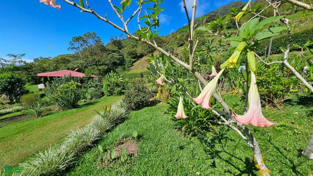 Casas Ecoduo en las Alturas , San Pedro, Perez Zeledon, San Jose
