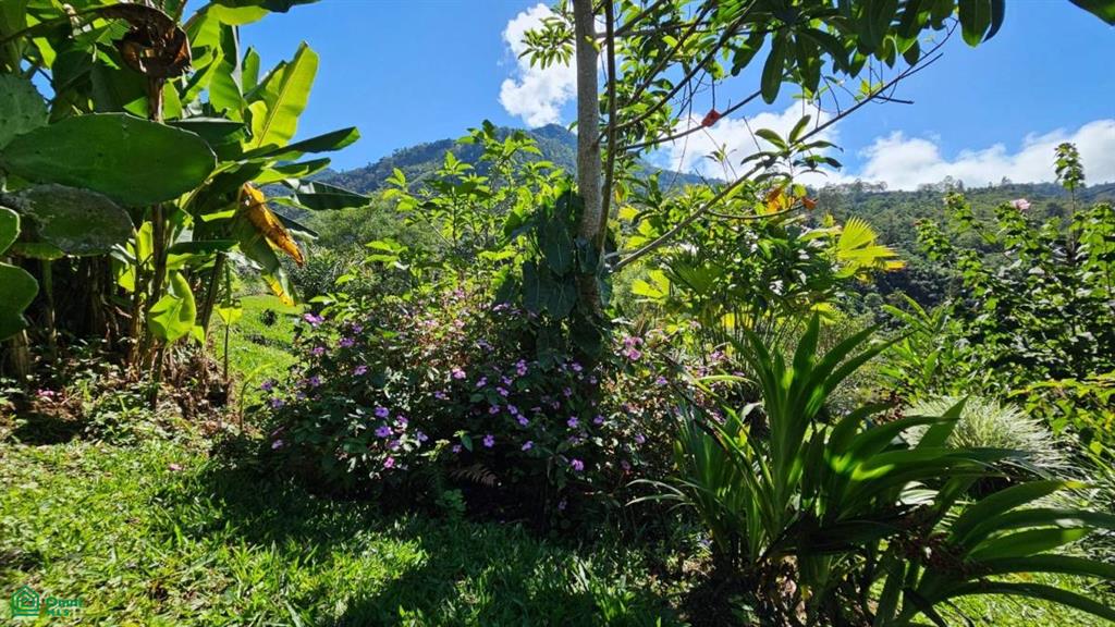 Casas Ecoduo en las Alturas , San Pedro, Perez Zeledon, San Jose