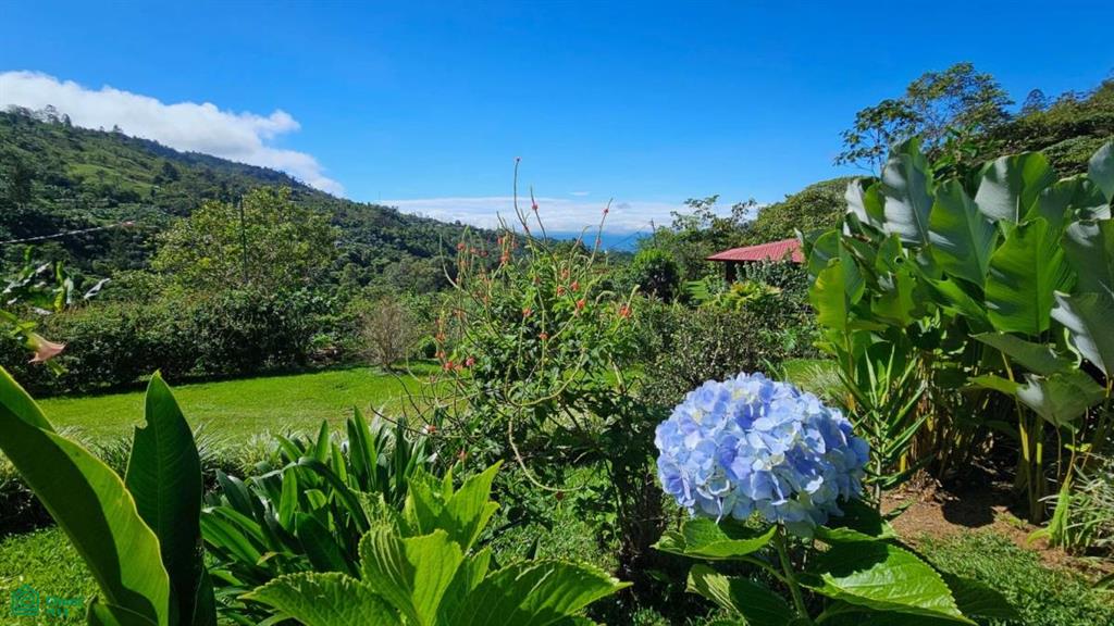 Casas Ecoduo en las Alturas , San Pedro, Perez Zeledon, San Jose