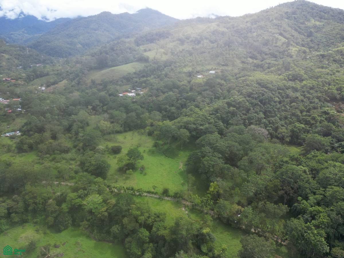 Green Haven in San Francisco de Rivas , Rivas, Perez Zeledon, San Jose
