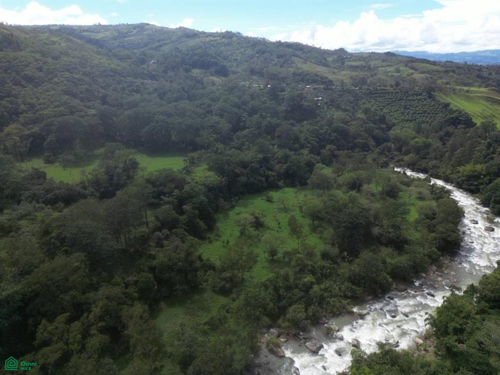 Quiet Grove Above the River , Rivas, Perez Zeledon, San Jose