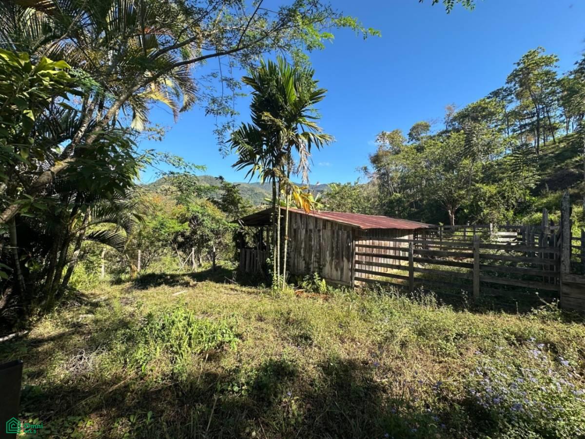 Finca Buena Vista , Rivas, Perez Zeledon, San Jose