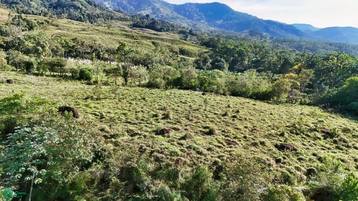 Finca Permavida , Cajón, Perez Zeledon, San Jose