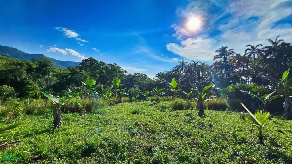 Finca Permavida , Cajón, Perez Zeledon, San Jose