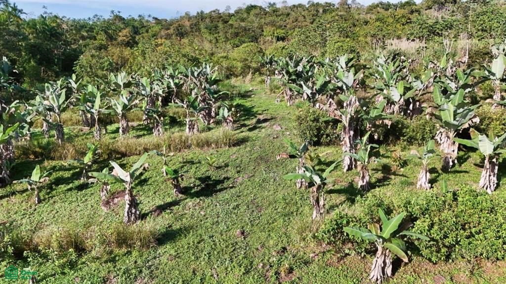 Finca Permavida , Cajón, Perez Zeledon, San Jose