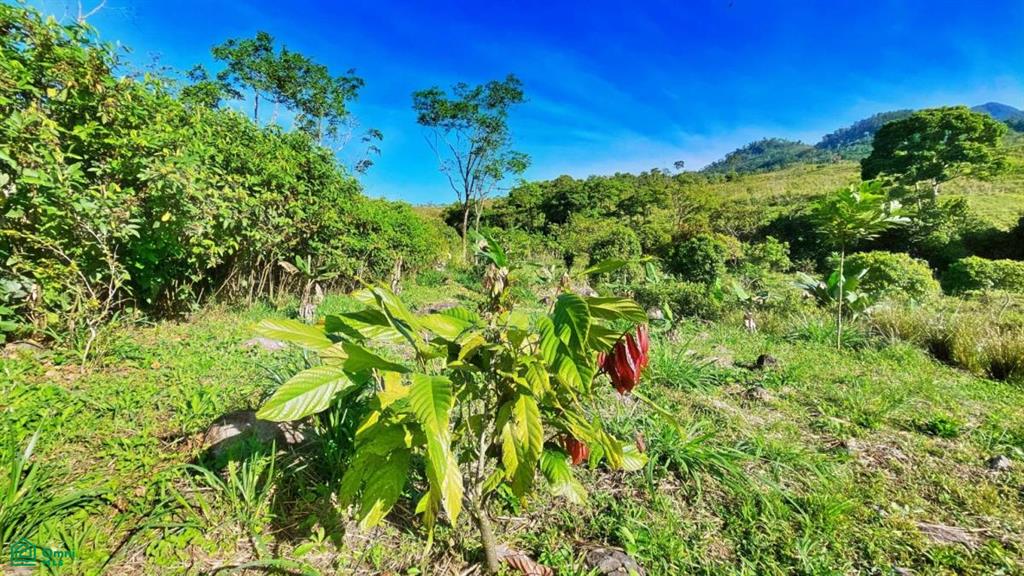 Finca Permavida , Cajón, Perez Zeledon, San Jose