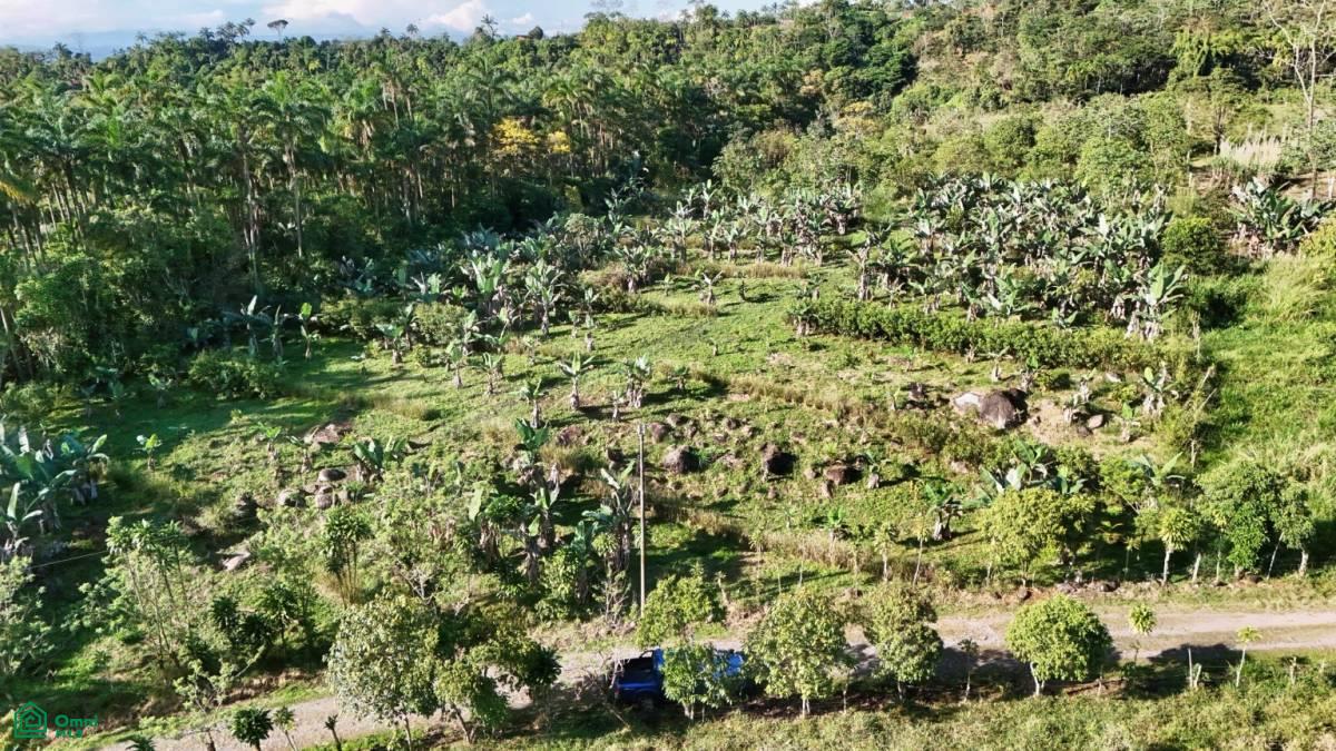 Finca Permavida , Cajón, Perez Zeledon, San Jose