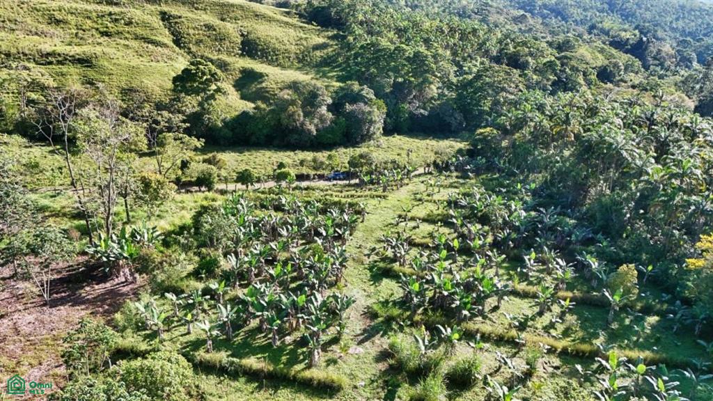 Finca Permavida , Cajón, Perez Zeledon, San Jose