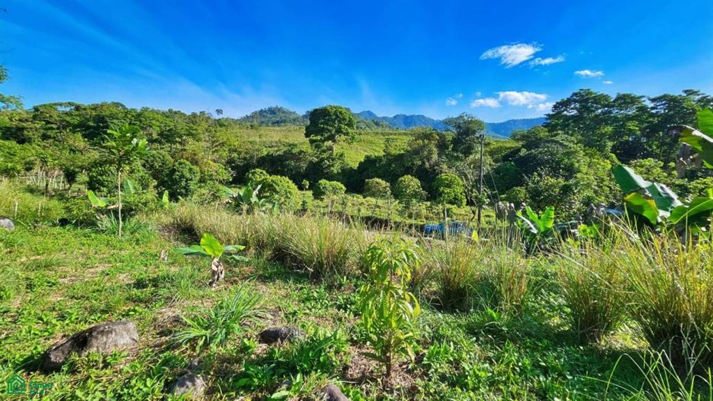 Finca Permavida , Cajón, Perez Zeledon, San Jose