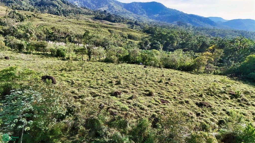 Finca Permavida , Cajón, Perez Zeledon, San Jose