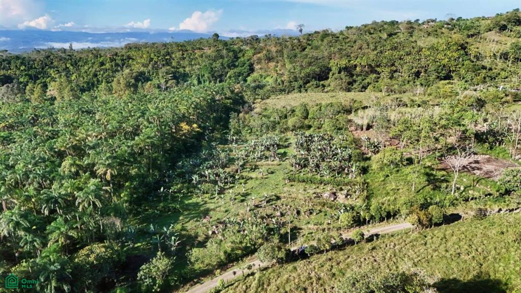 Finca Permavida , Cajón, Perez Zeledon, San Jose