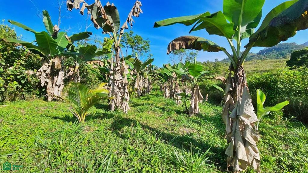 Finca Permavida , Cajón, Perez Zeledon, San Jose