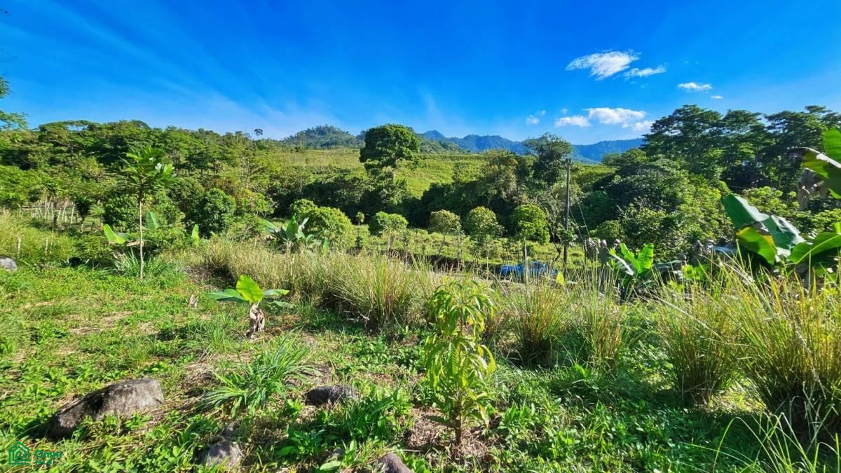 Finca Permavida , Cajón, Perez Zeledon, San Jose