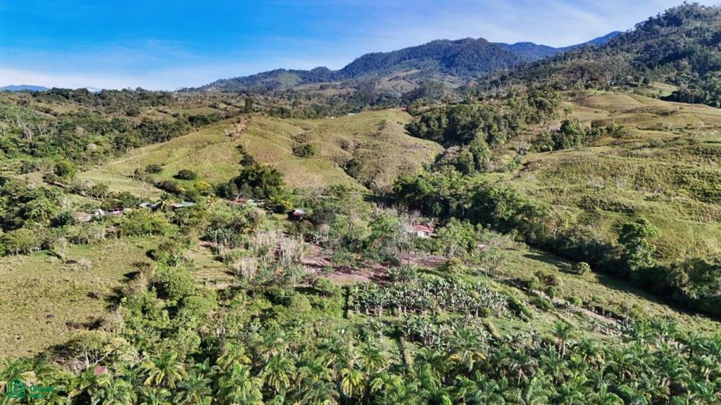 Finca Permavida , Cajón, Perez Zeledon, San Jose