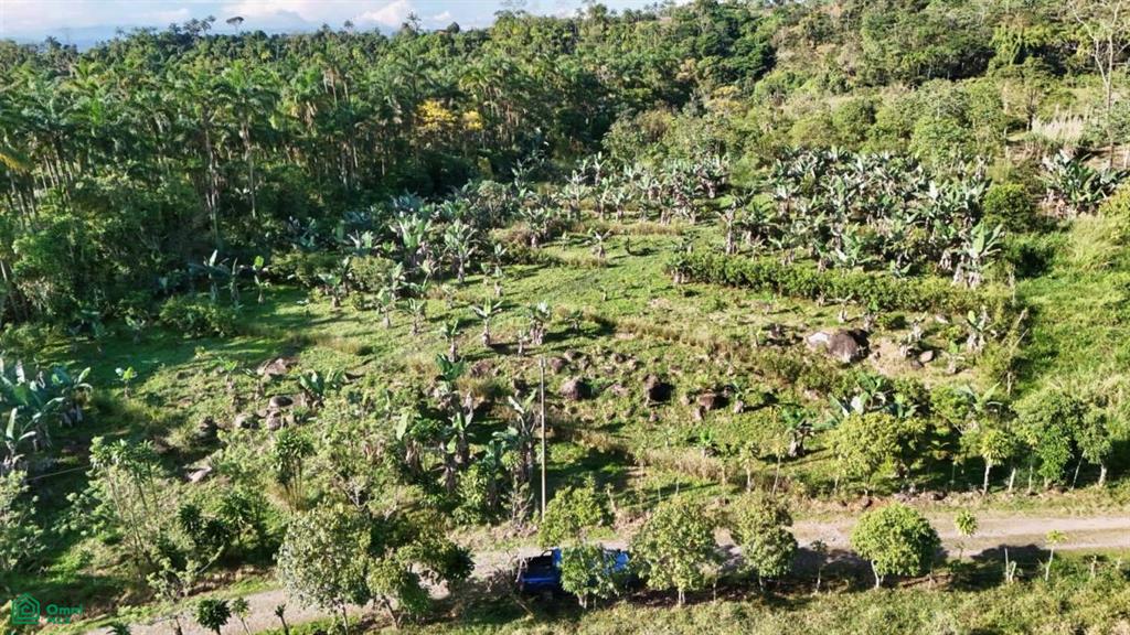 Finca Permavida , Cajón, Perez Zeledon, San Jose