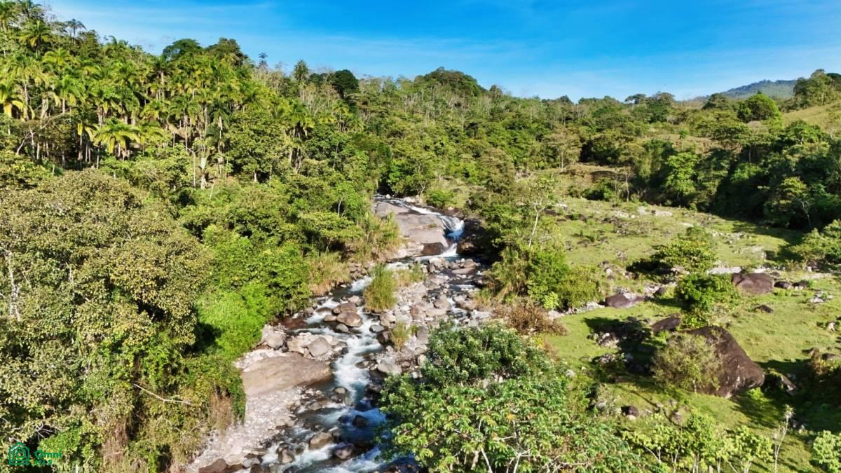 Finca Permavida , Cajón, Perez Zeledon, San Jose