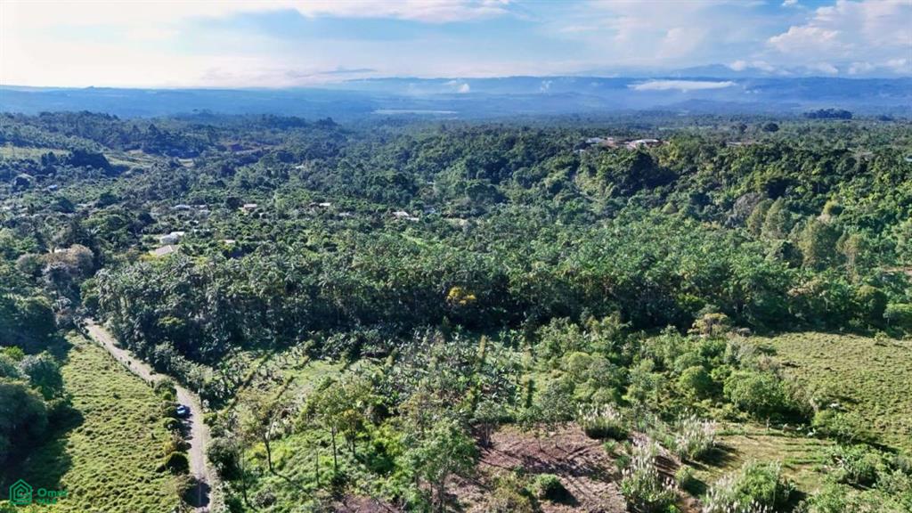 Finca Permavida , Cajón, Perez Zeledon, San Jose