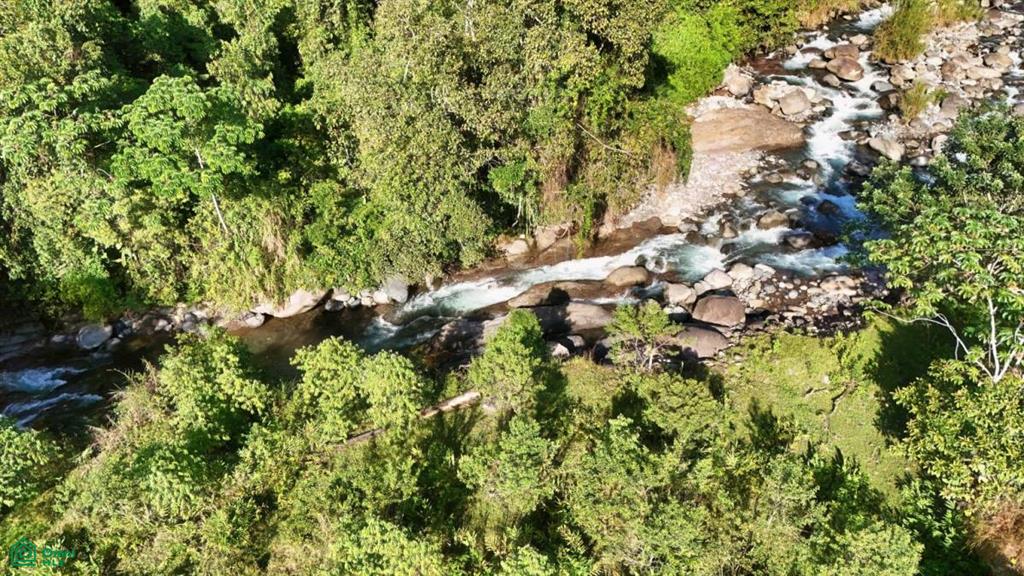 Finca Permavida , Cajón, Perez Zeledon, San Jose