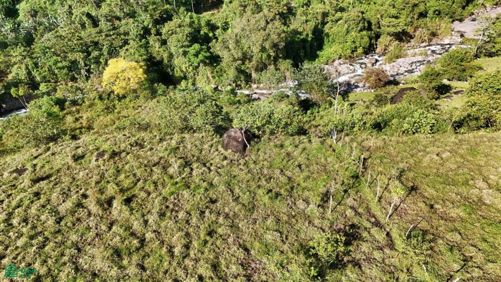 Finca Permavida , Cajón, Perez Zeledon, San Jose