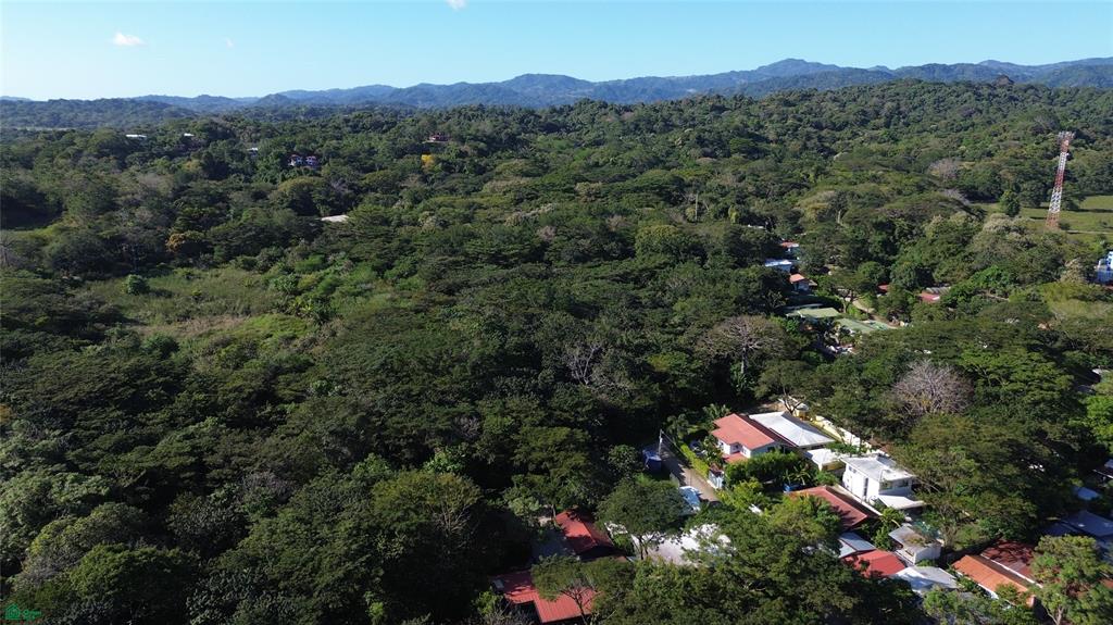 Casa Ceiba , Sámara, Guanacaste