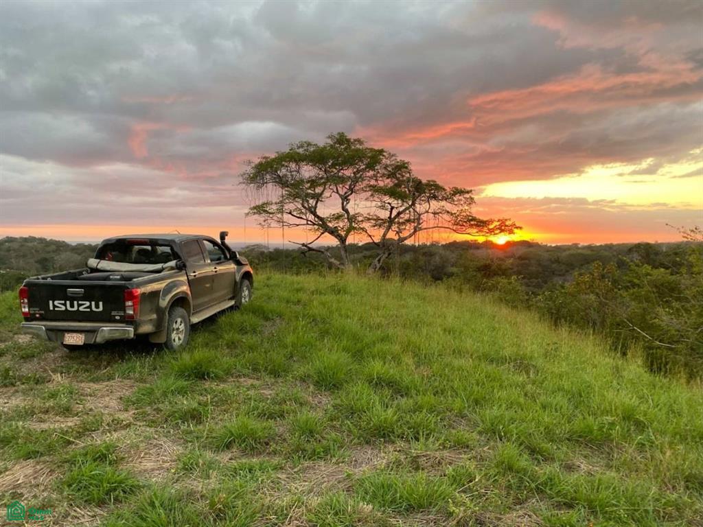Playa Ostional/Nosara , Playa Azul, Guanacaste