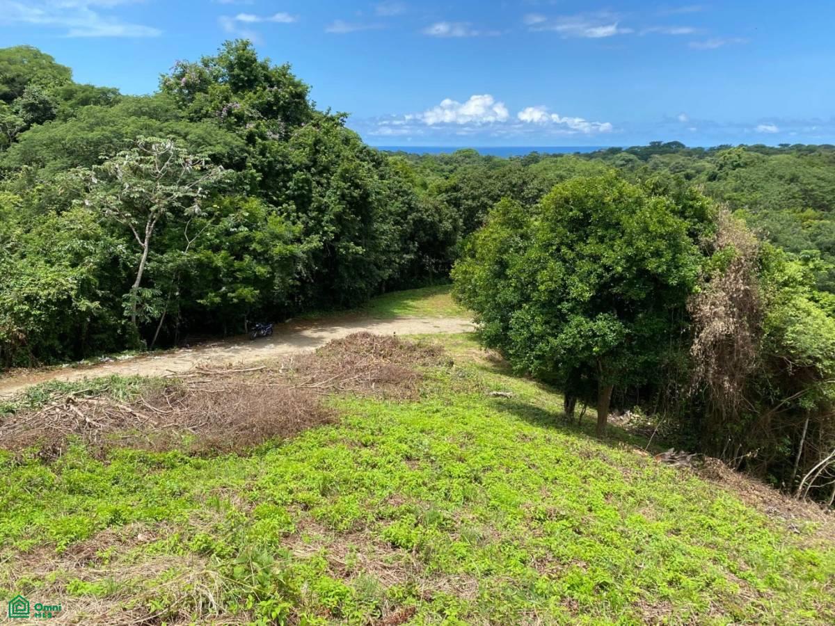 Playa Ostional/Nosara , Playa Azul, Guanacaste