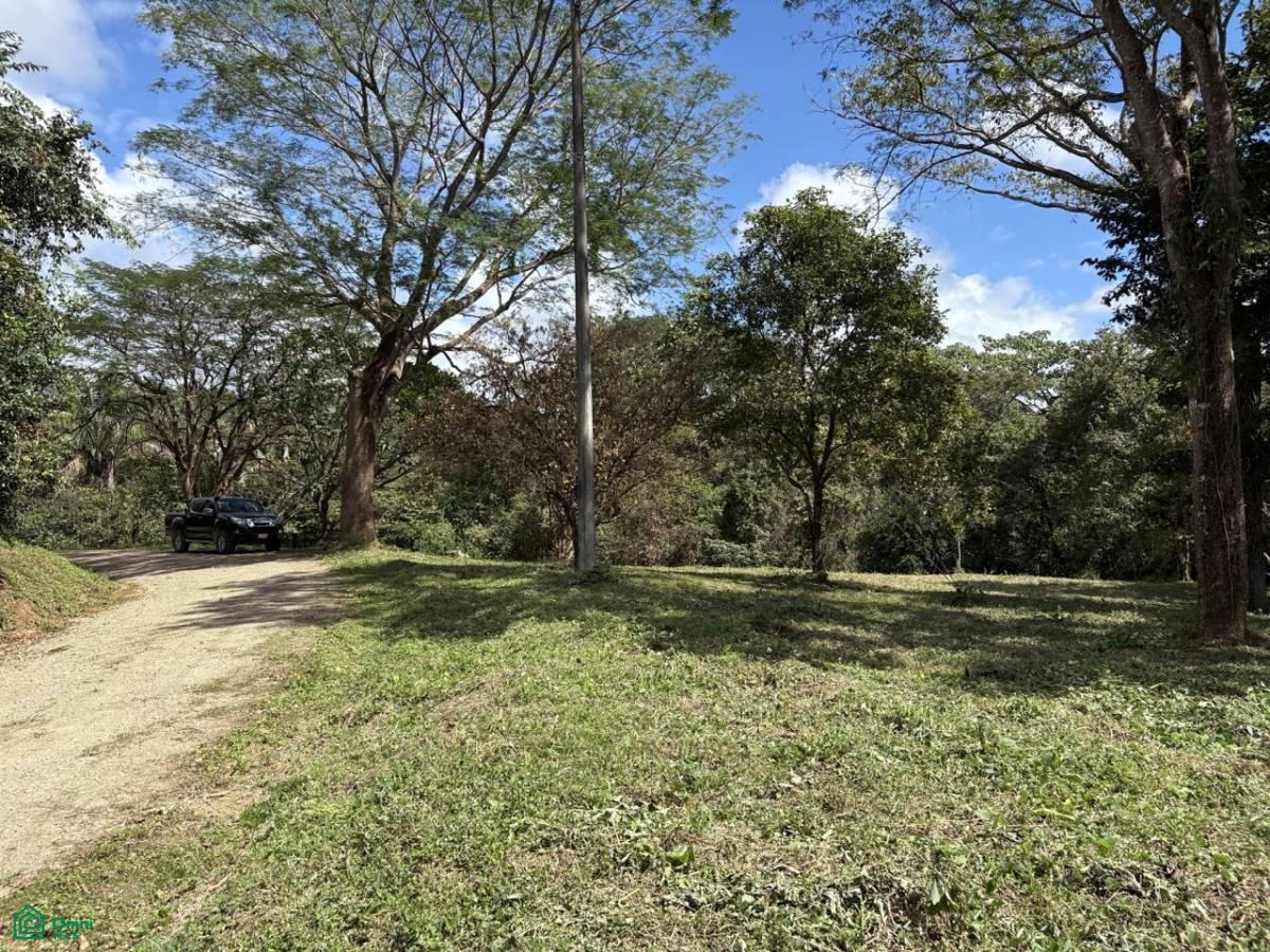 Playa Ostional/Nosara , Playa Azul, Guanacaste