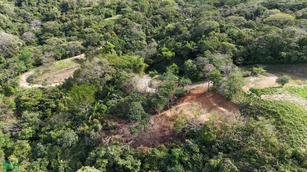 Playa Ostional/Nosara , Playa Azul, Guanacaste