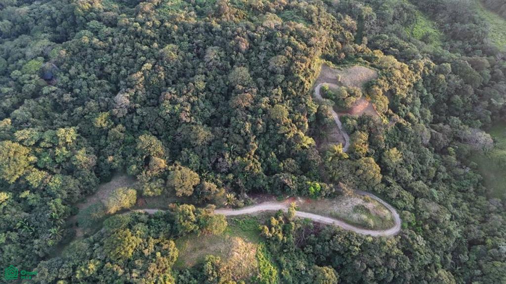 Playa Ostional/Nosara , Playa Azul, Guanacaste