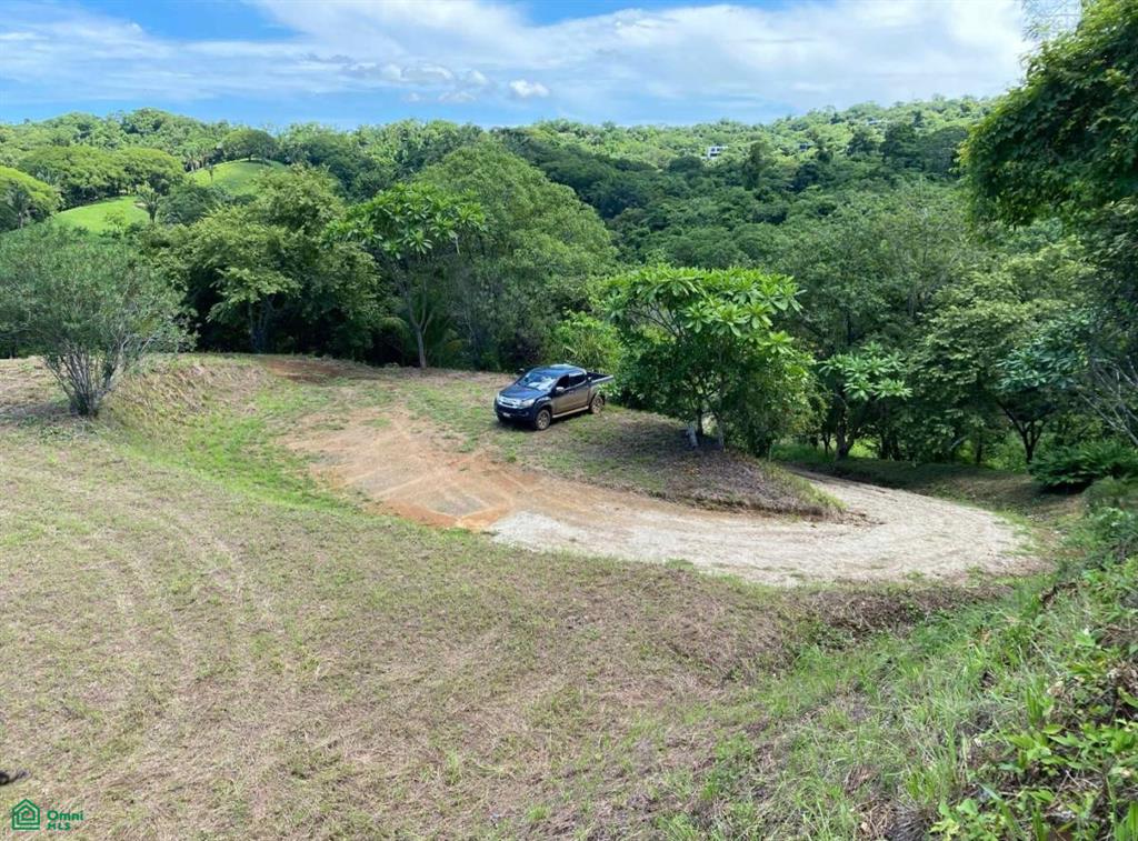 Playa Ostional/Nosara , Playa Azul, Guanacaste