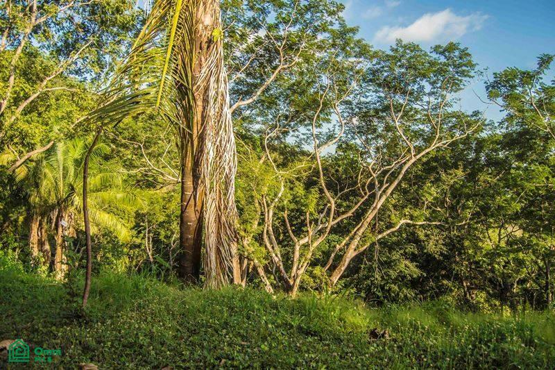 La Reserva Lot 4 / Playa Camaronal , Zapotal, Nandayure, Guanacaste