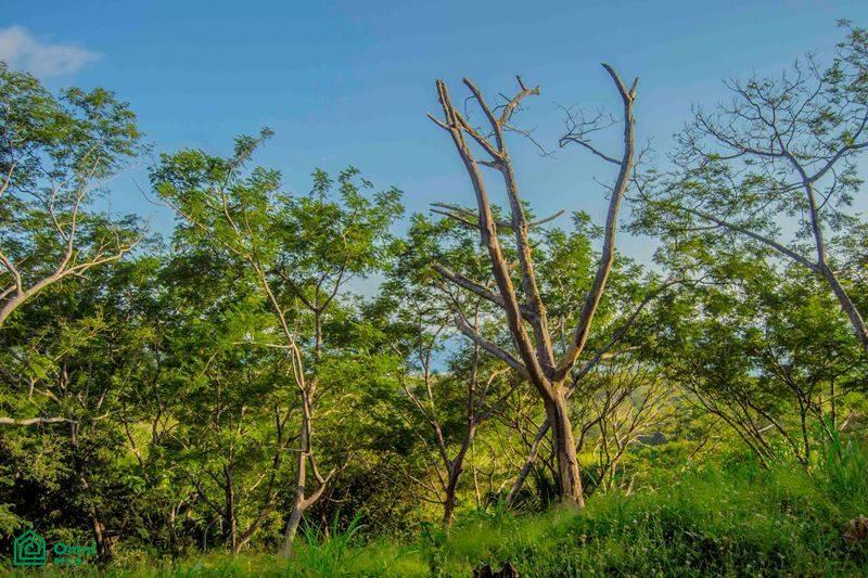 La Reserva Lot 4 / Playa Camaronal , Zapotal, Nandayure, Guanacaste