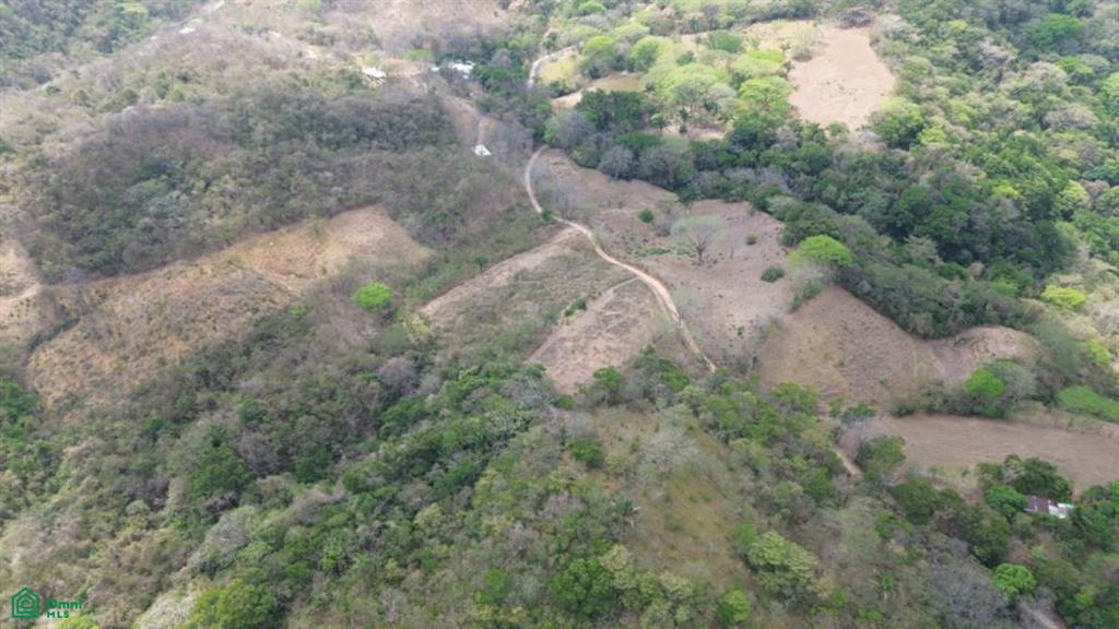 3 Hectare Lot / Samara , Sámara, Guanacaste