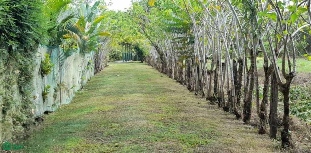 Prime Investment or Residential Opportunity in the Heart of Uvita , Bahía Ballena, Osa, Puntarenas