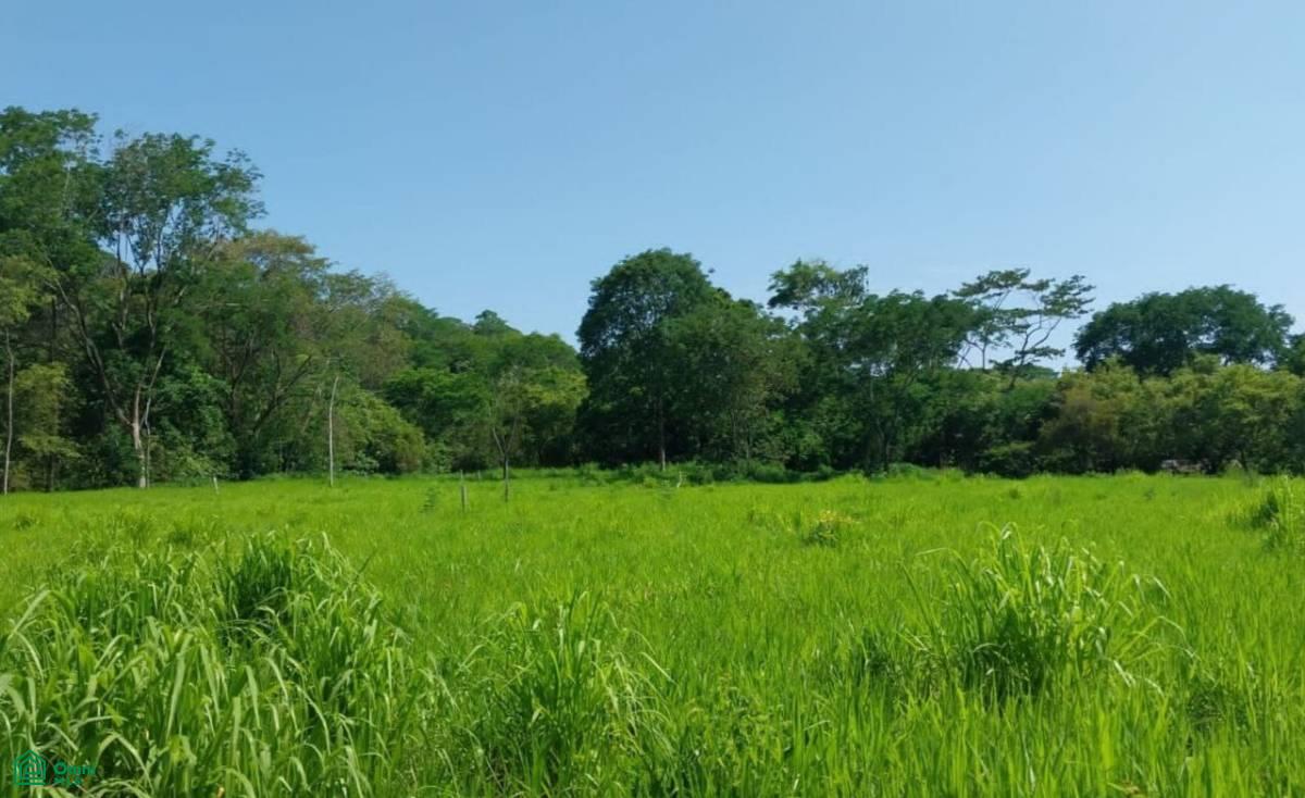 Prime Investment or Residential Opportunity in the Heart of Uvita , Bahía Ballena, Osa, Puntarenas
