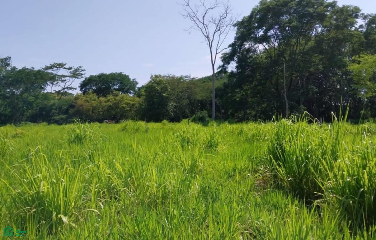 Prime Investment or Residential Opportunity in the Heart of Uvita , Bahía Ballena, Osa, Puntarenas