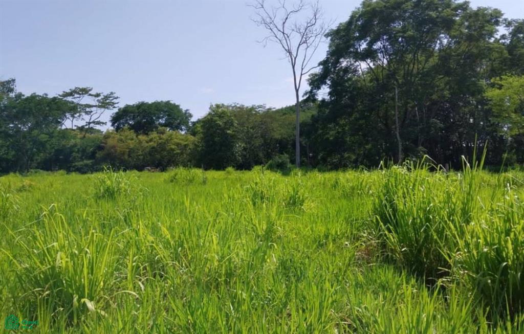 Prime Investment or Residential Opportunity in the Heart of Uvita , Bahía Ballena, Osa, Puntarenas