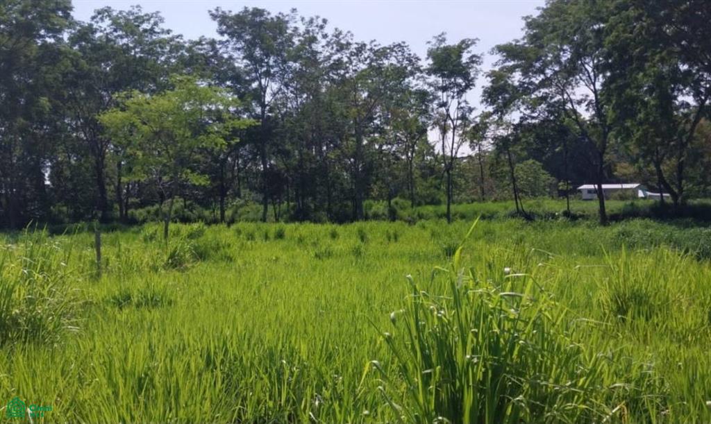 Prime Investment or Residential Opportunity in the Heart of Uvita , Bahía Ballena, Osa, Puntarenas