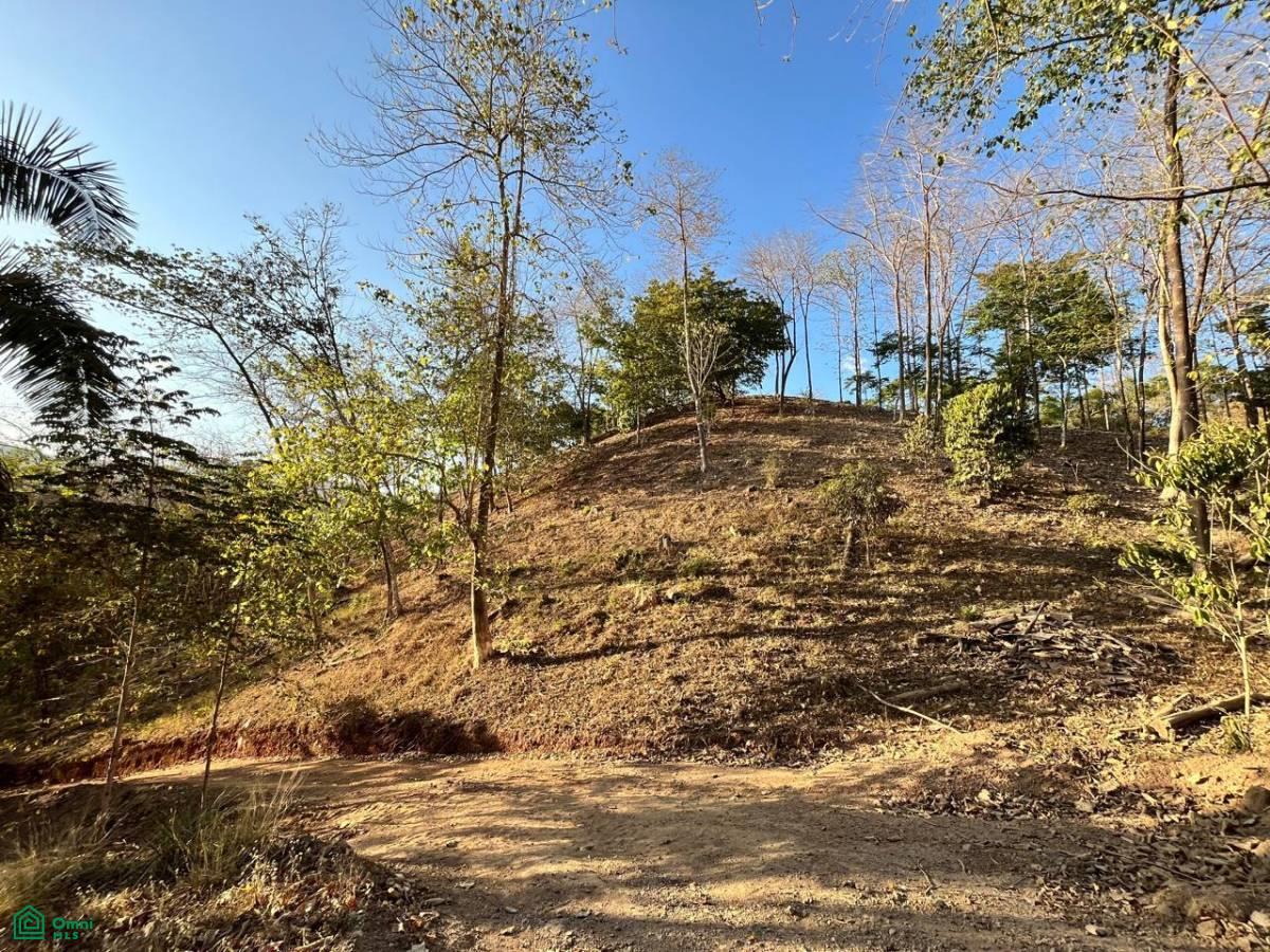 Large River Lot 1.75 acre in Camaronal