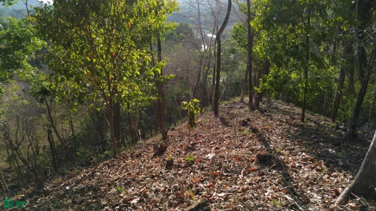 Large River Lot 1.75 acre in Camaronal