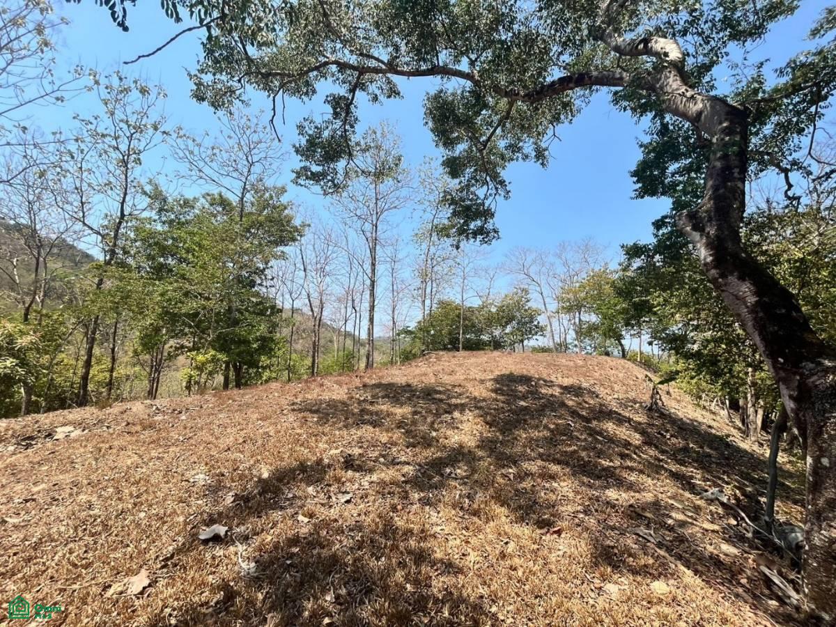 Large River Lot 1.75 acre in Camaronal