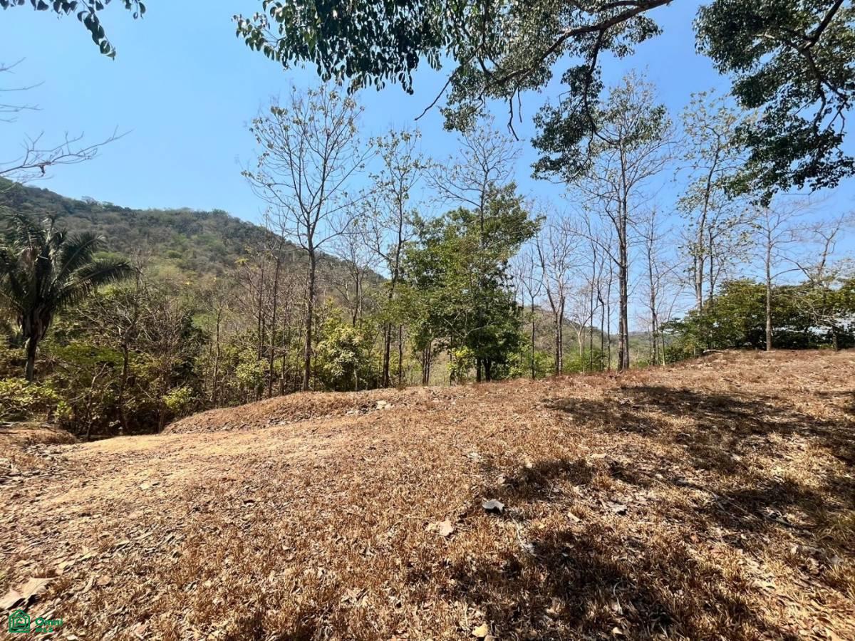 Large River Lot 1.75 acre in Camaronal