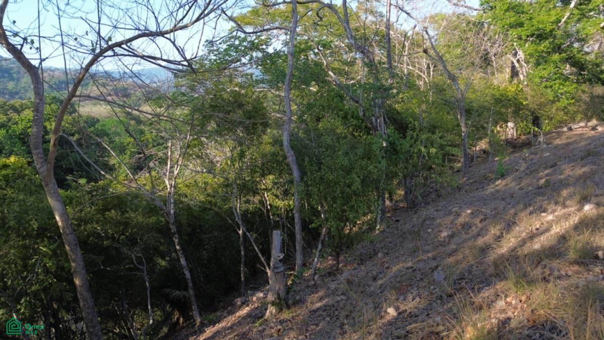 Large River Lot 1.75 acre in Camaronal
